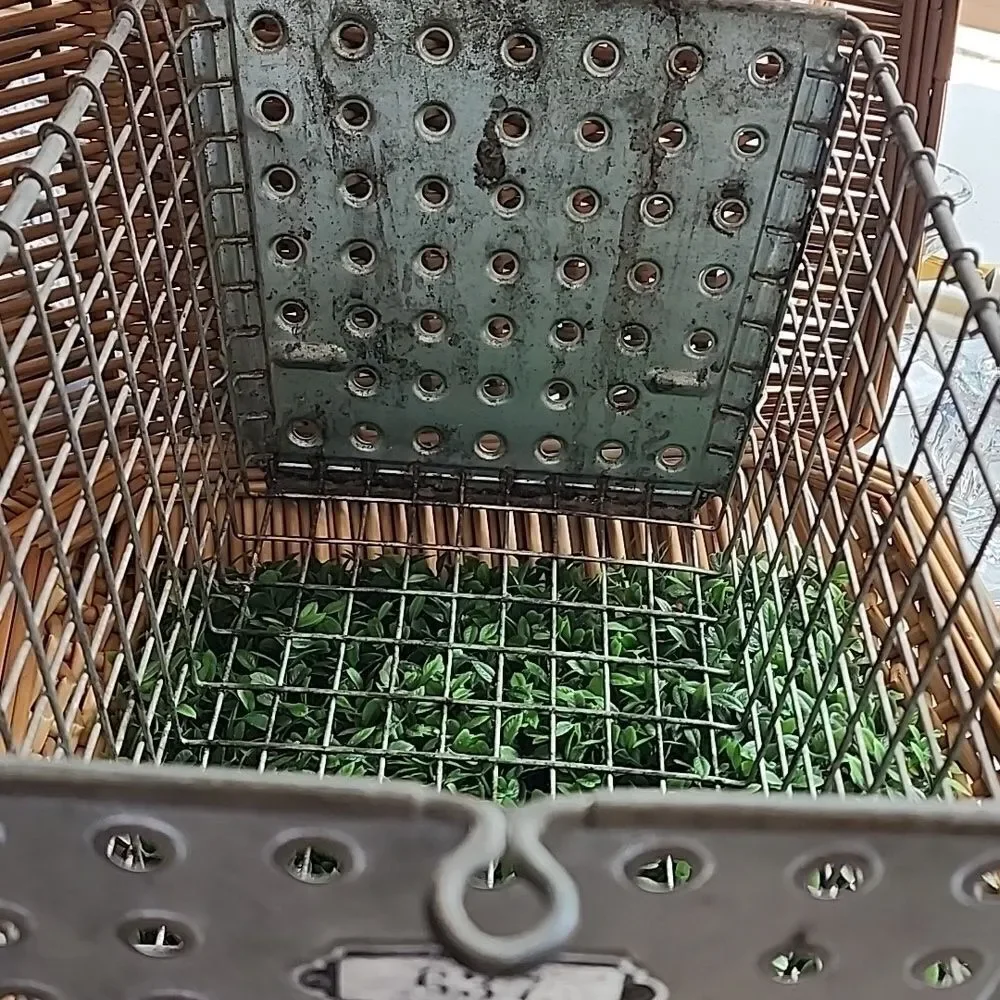 Vintage Washburn Co #637 Locker Room/Pool Metal Wire Basket
